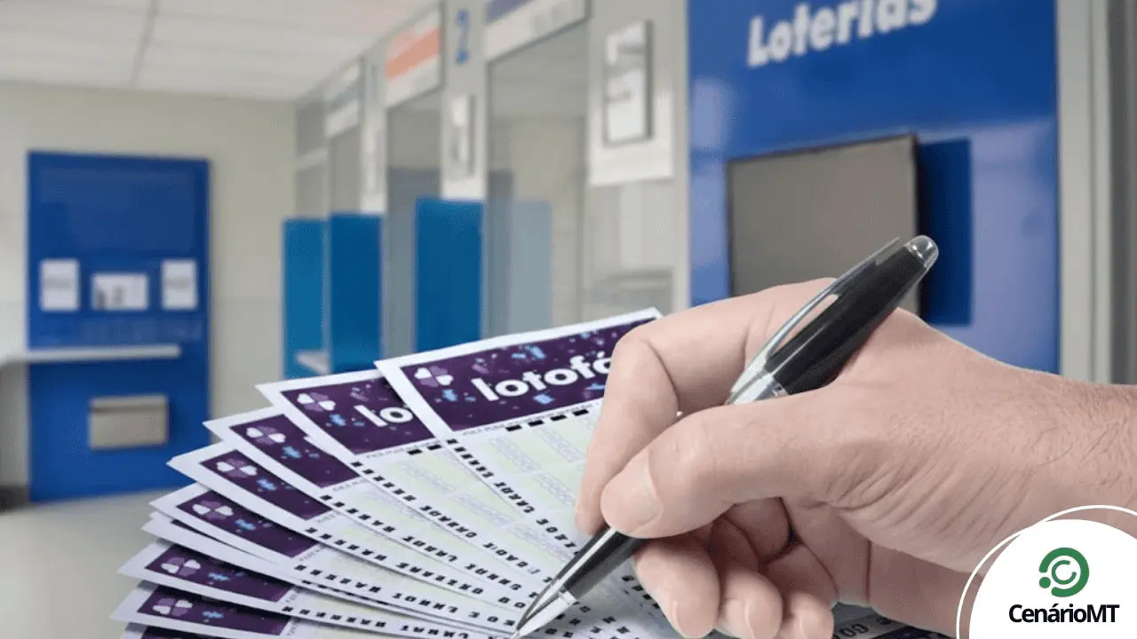 Lotofácil - Resultado aqui no CenárioMT