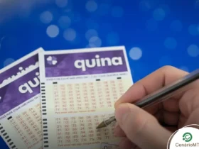 Resultado da Quina 6906