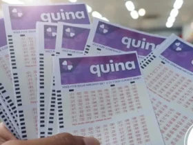 Quina hoje: resultado do concurso 6905 e números sorteados
