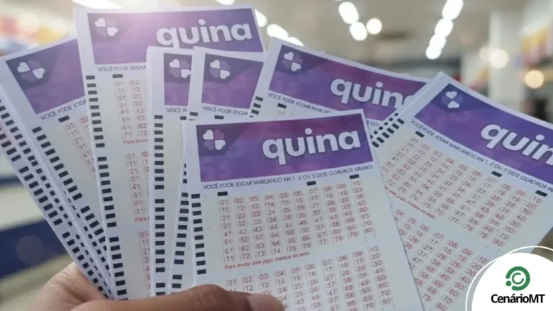 Quina hoje: resultado do concurso 6905 e números sorteados