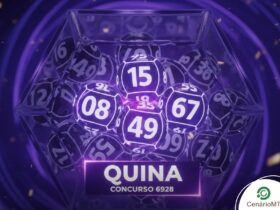 Quina concurso 6928 sorteia R$ 9 milhões hoje; confira palpites