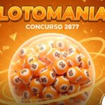 Resultado da Lotomania concurso 2877 de 19/01/2026: confira os números sorteados