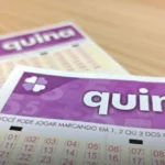 Close-up de dois volantes de apostas de loteria da quina na cor roxa sobre uma mesa de madeira clara com foco seletivo.
