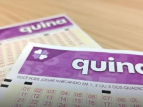 Close-up de dois volantes de apostas de loteria da quina na cor roxa sobre uma mesa de madeira clara com foco seletivo.
