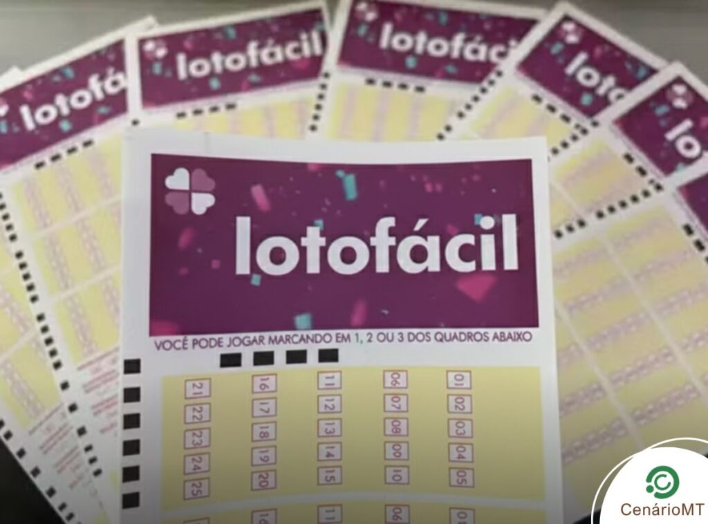 Lotofácil de hoje: confira os palpites para o sorteio de 18/08 10 Diversos bilhetes da Lotofácil em destaque.