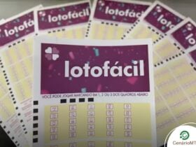 Lotofácil 3645 pode pagar R$ 2 milhões nesta quarta (25): veja como jogar e palpites estratégicos 26 Diversos bilhetes da Lotofácil em destaque.