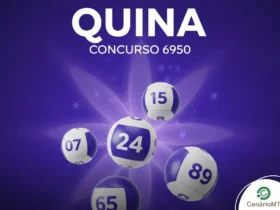 Resultado da Quina 6950: Confira os números do prêmio acumulado de R$ 14,9 milhões (10/02)