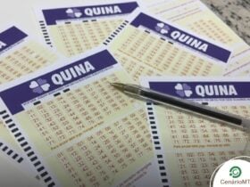 Resultado da Quina de 24/03/2026: confira os números sorteados 26 Caneta apontando para os números em um volante da Quina.