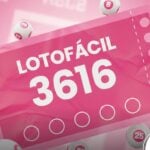 Resultado da Lotofácil 3616: Confira os números sorteados para o prêmio de R$ 1,8 milhão hoje (19/02)