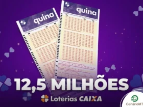 Dois volantes da loteria Quina, da Caixa Econômica Federal, sobre um fundo roxo com o texto em destaque "12,5 MILHÕES".