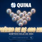 banner quina