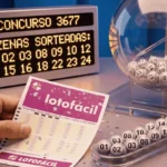 concurso lotofacil.webp