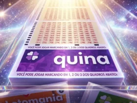 Aposta única de Várzea Grande leva grana extra na Quina 7040; confira rateio