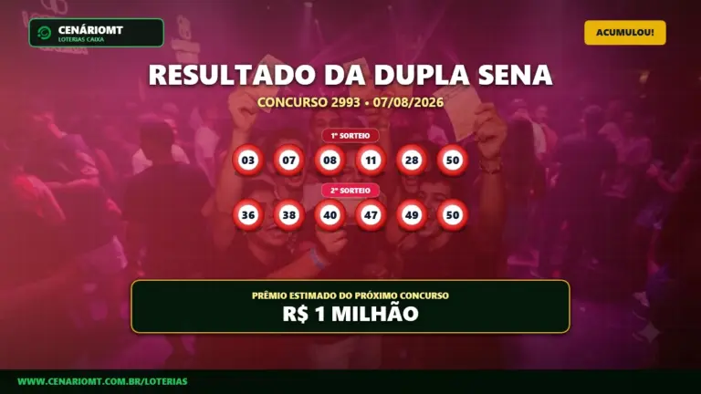 Resultado da Dupla Sena 2993