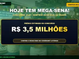 Palpites Mega-Sena 3049: Veja dicas e sugestões de jogos para o prêmio de R$ 3,5 milhões 15 Banner com detalhes da Mega-Sena 3049
