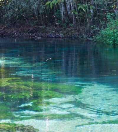 Flutuacao no Rio Sucuri