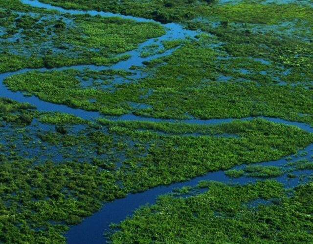 cropped pantanal cropped-pantanal.jpg