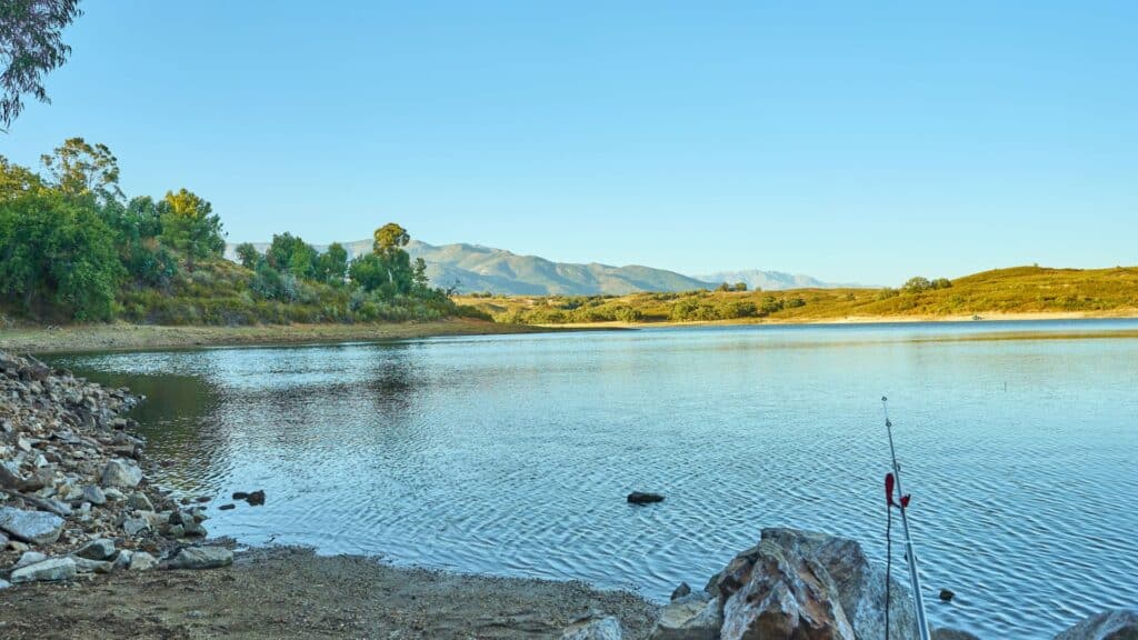 pesca no pantanal 2