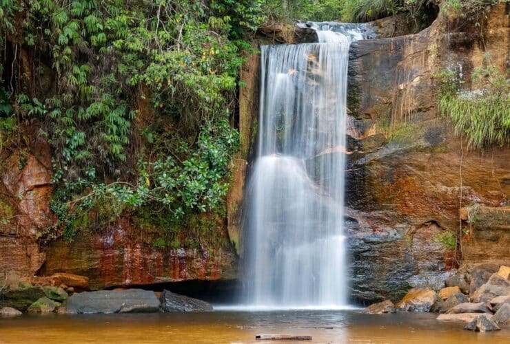 Chapada dos guimaraes mt 48