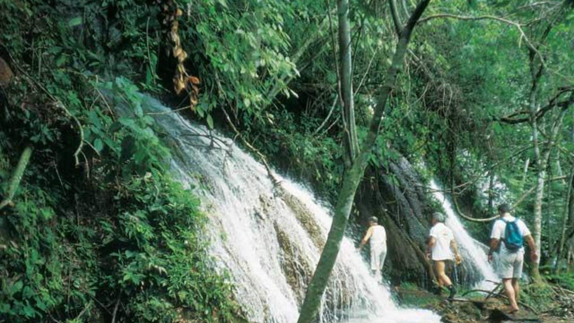 Fazenda Ceita Core Camara Municipal de Bonito MS2