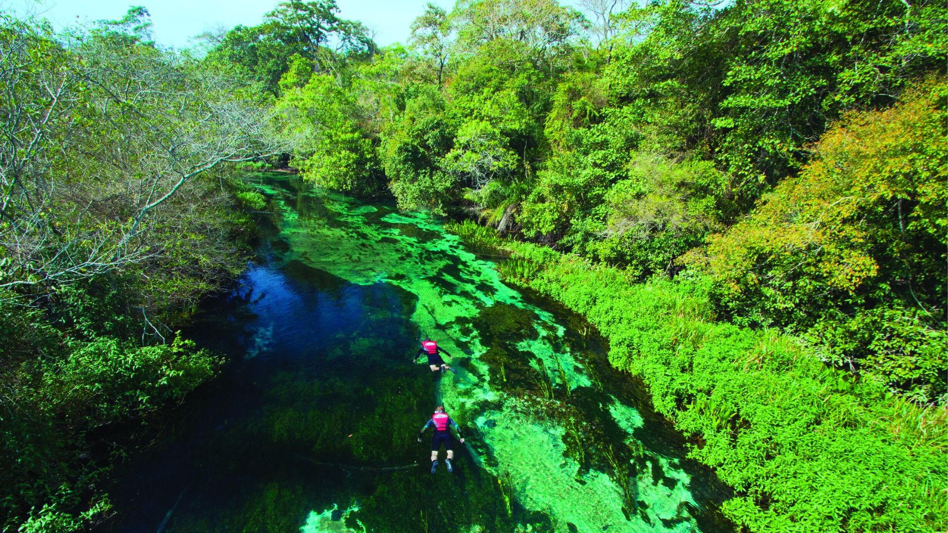 Rio Sucuri Foto SECTUR Bonito MS Fotografo Daniel De Granville