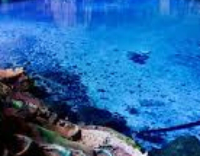 cropped download download