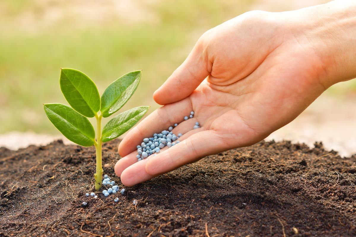 Produtores de Mato Grosso reduzem compra de fertilizantes