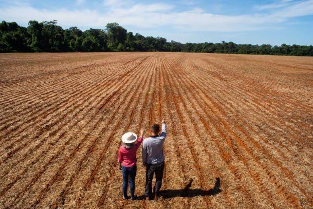 Em 2023, número de pessoas trabalhando no agronegócio é recorde, mostra levantamento do Cepea