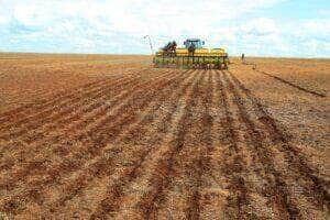 Com 96,36% da área já semeada, Mato Grosso caminha para encerrar plantio da soja dentro da janela ideal