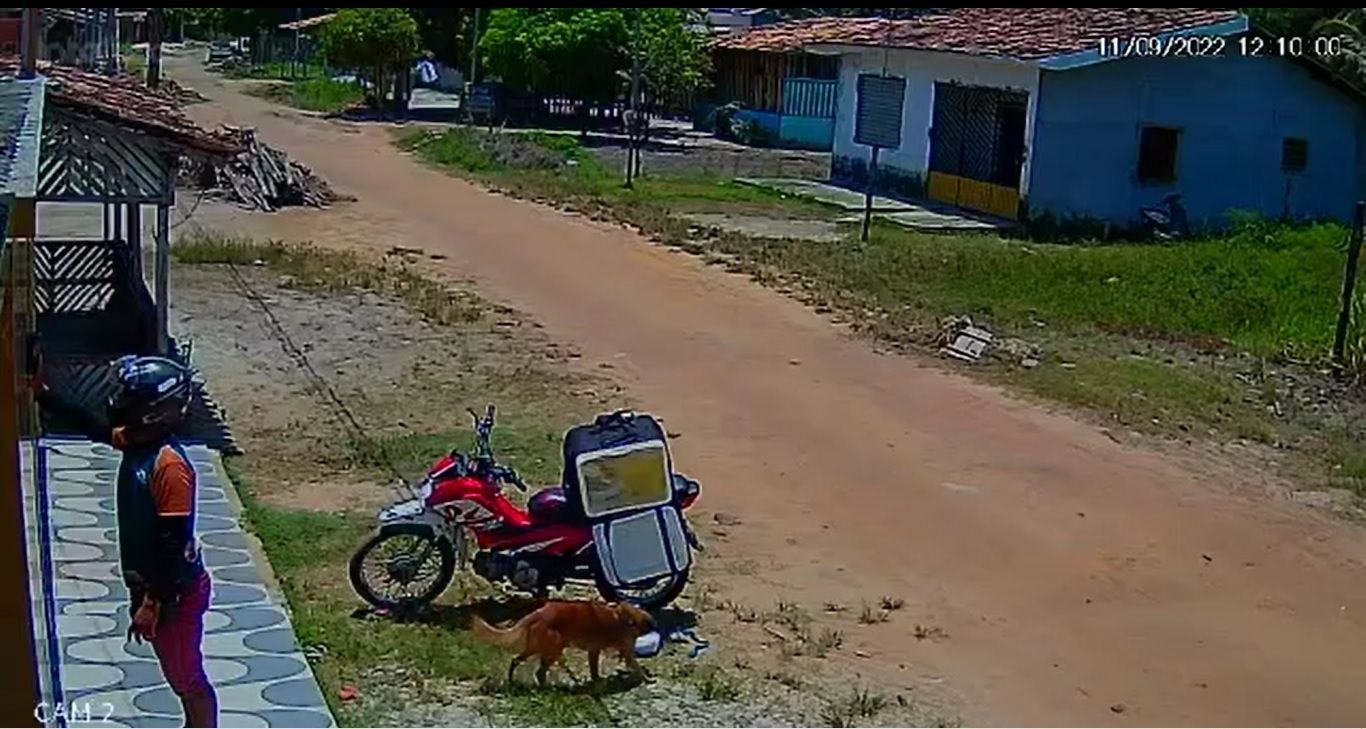 Cachorro fica famoso ao pegar marmita de entregador