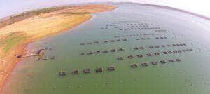 Embrapa contribui na construção do Plano Nacional da Aquicultura