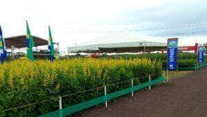 Empaer participa da 5ª edição da feira de negócio e tecnologia agrícola em Canarana