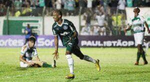 Time afiado: Palmeiras termina fase de grupos com 100% de aproveitamento