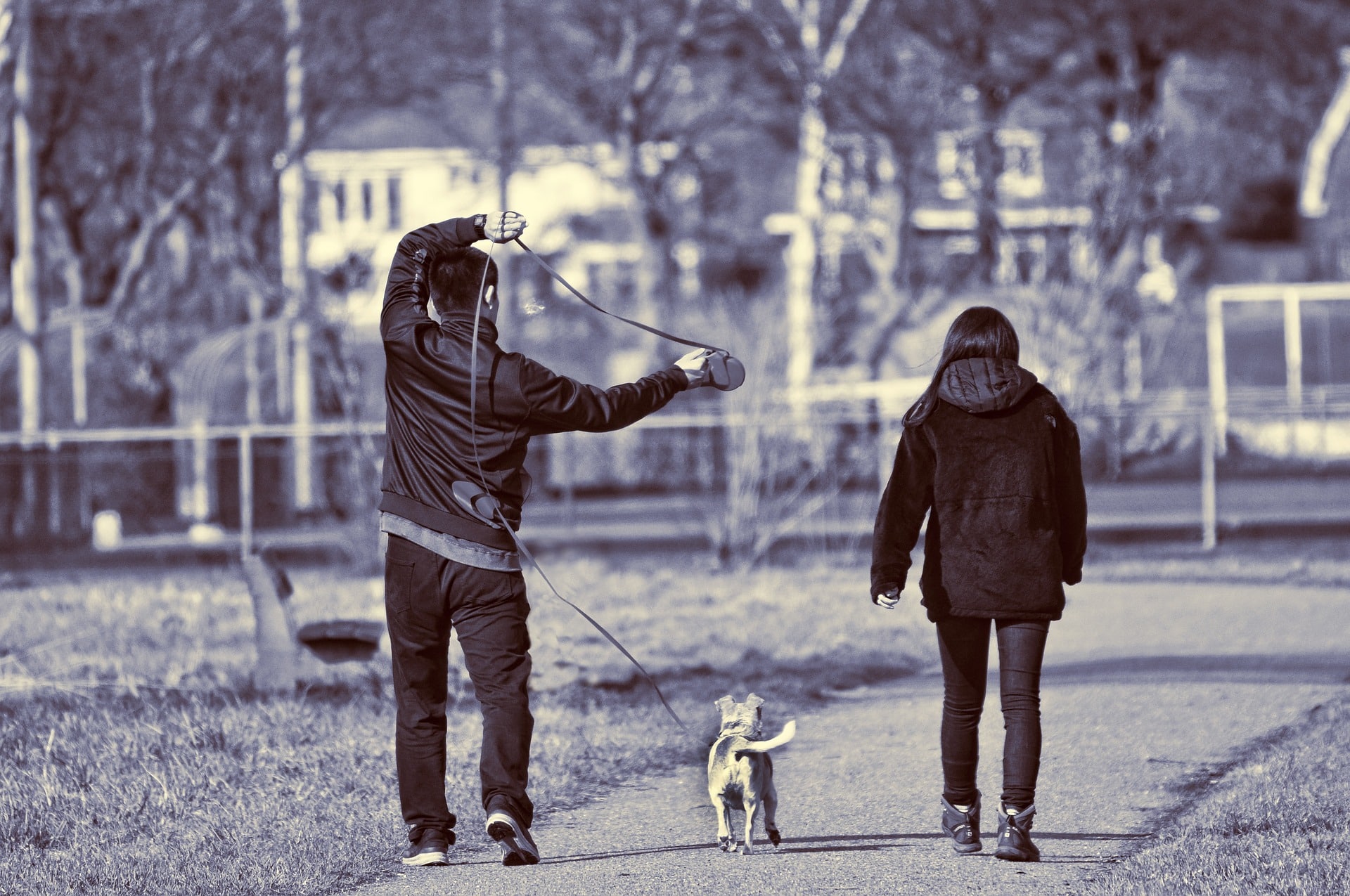 Os 5 signos do zodíaco que amam passear com cães