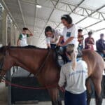 equoterapia rancho alegre 7