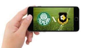 Jogo do Palmeiras ao vivo: veja onde assistir Palmeiras x São Bernardo na TV e Online pelo Paulistão