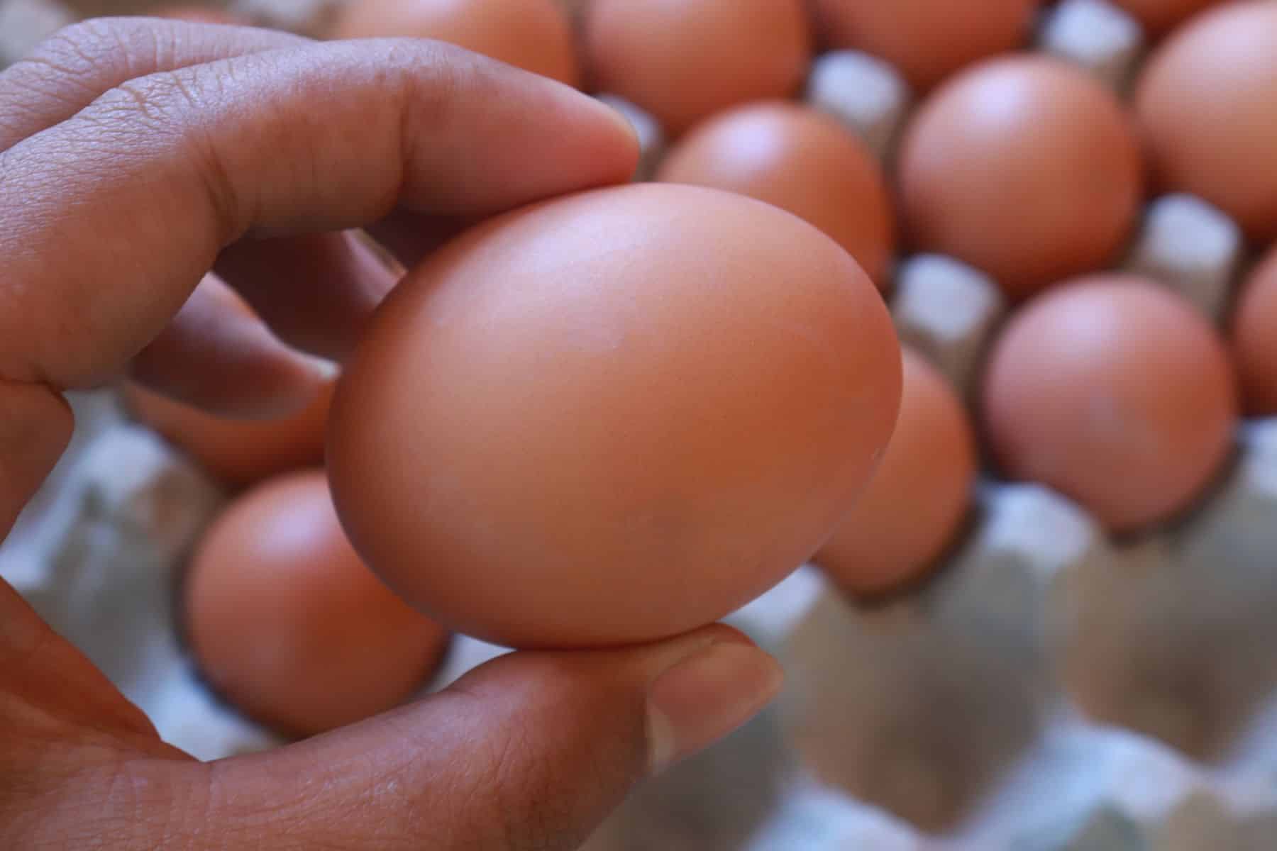 Aquecimento nas vendas de ovos impulsiona cotações na primeira quinzena de junho