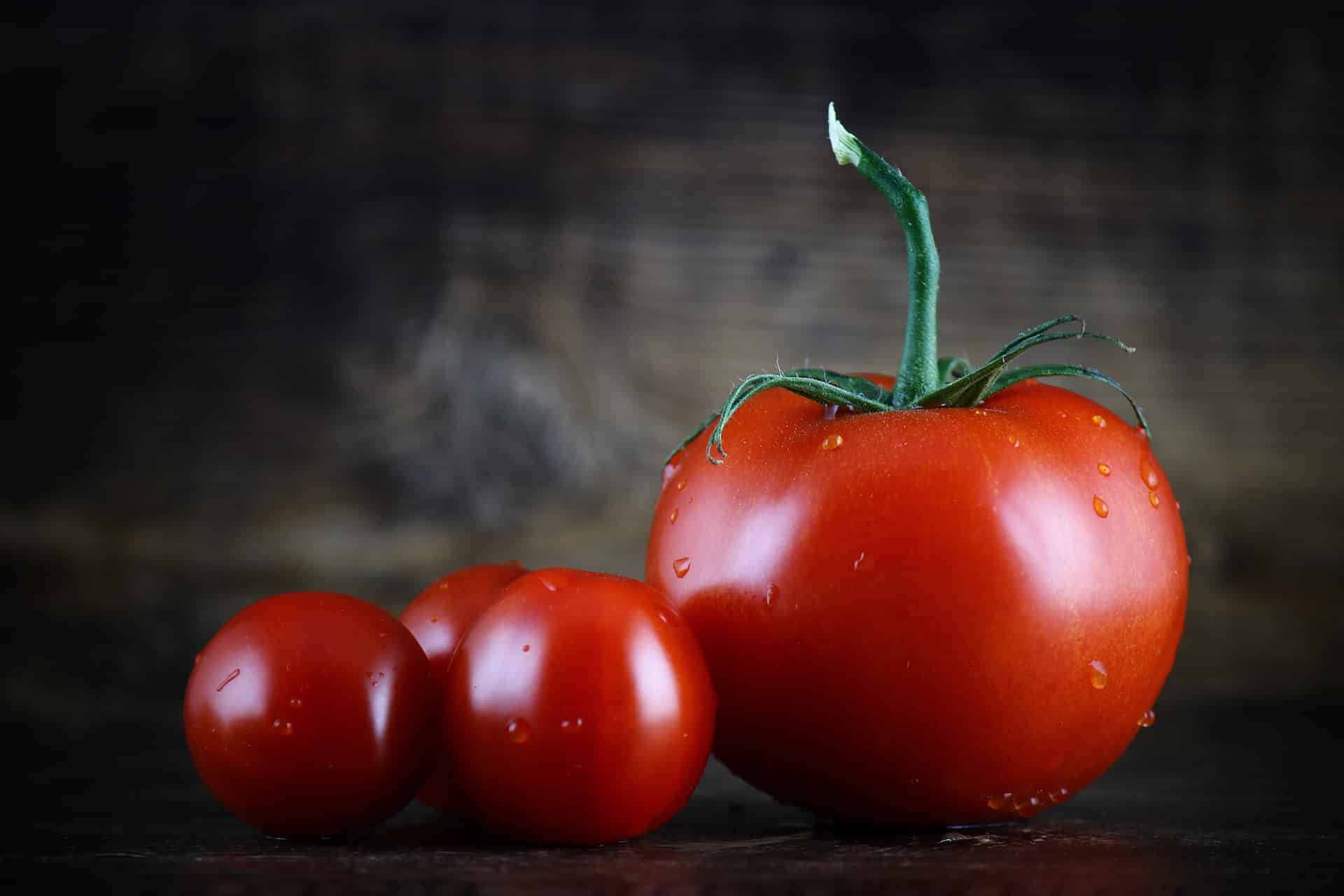 Quais são os benefícios do tomate?