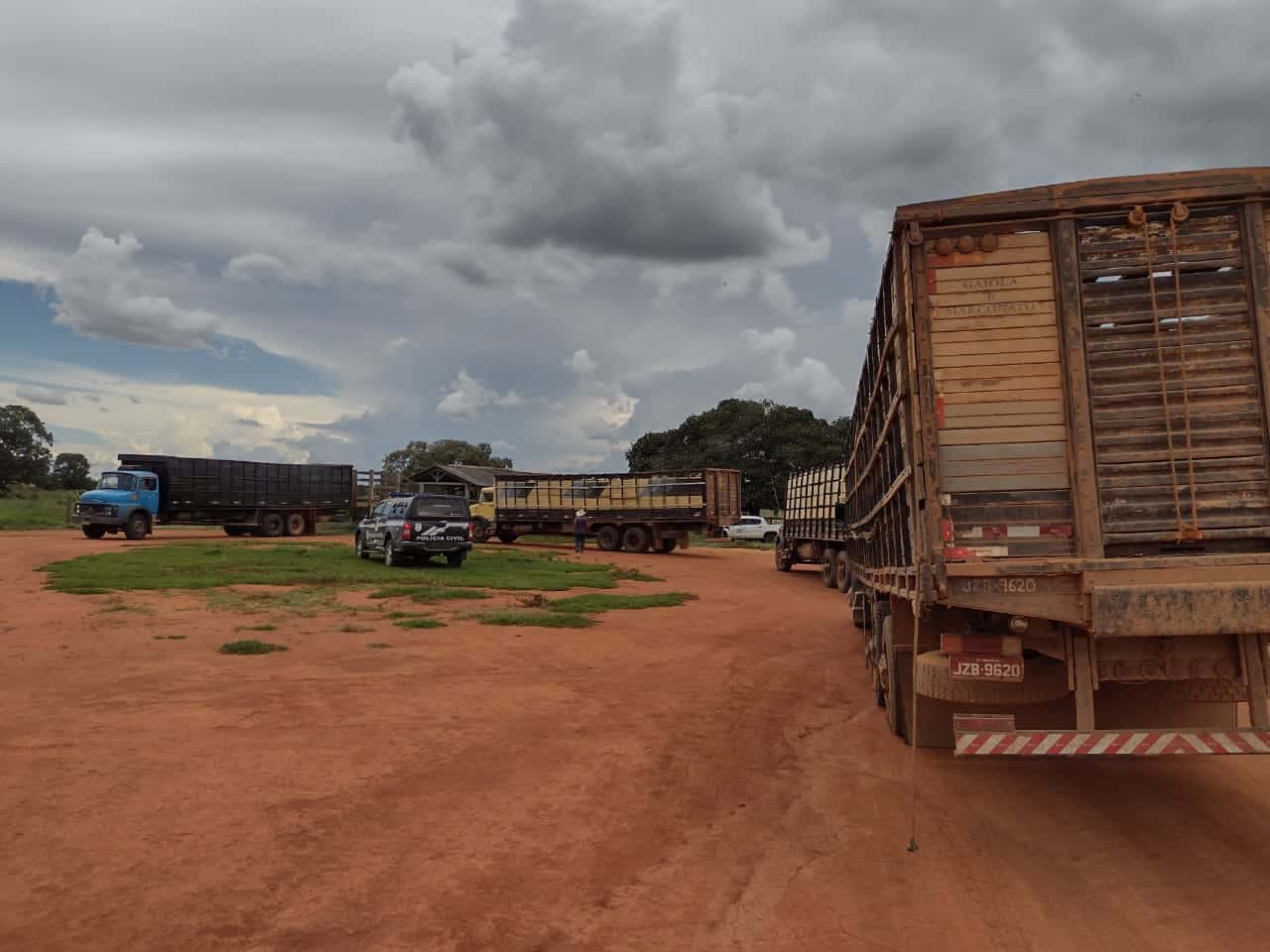 Policia apreende rebanho transportado com nota fiscal irregular em Araguaiana