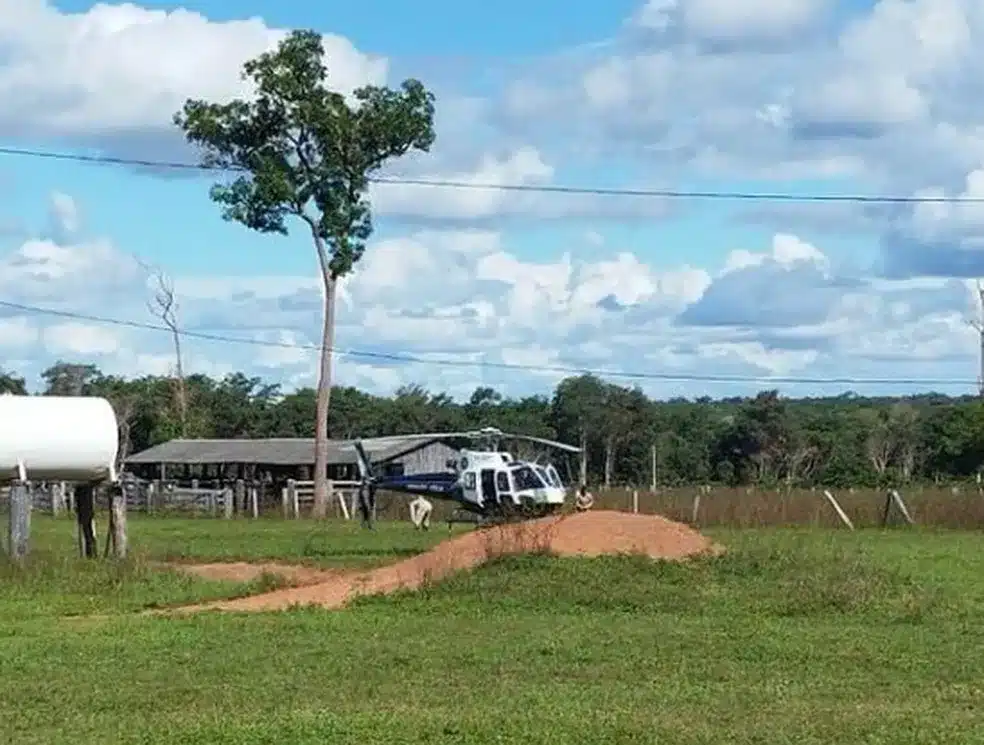 caes farejadores ajudam no resgate de homem que ficou desaparecido por 72 horas em regiao de mata