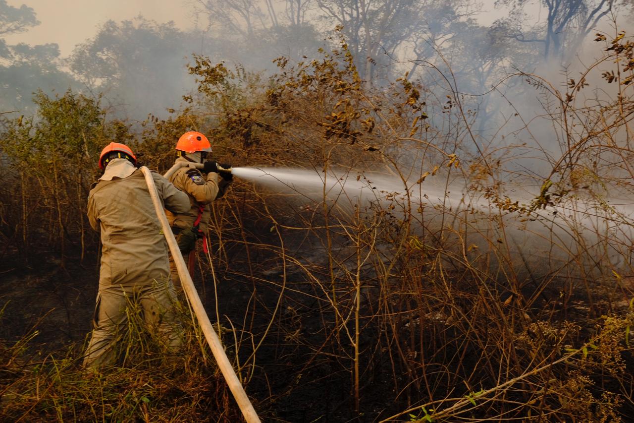 Veranico fora de época agrava risco de queimadas em Mato Grosso e outras regiões do Brasil