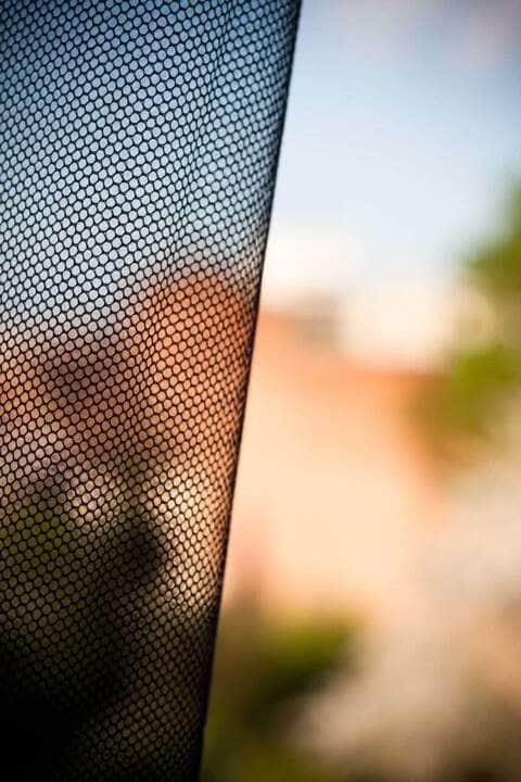 mosquito netting - Fotos do Canva