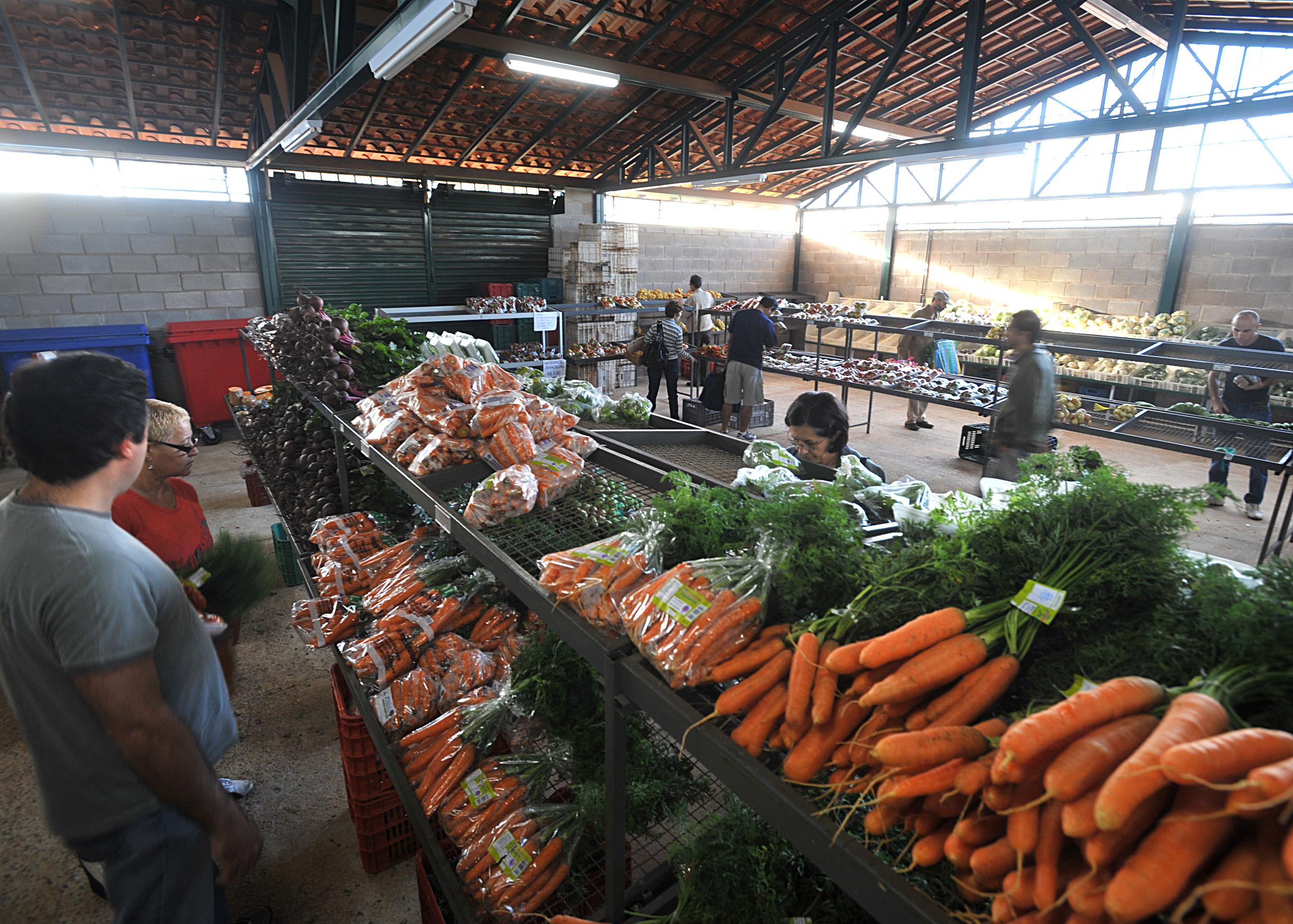 precos da cenoura e do mamao caem nos principais mercados atacadistas