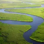 Deputados criticam falhas na proteção ambiental de Mato Grosso durante semana do meio ambiente