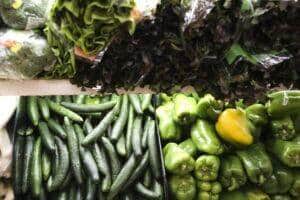 Pesquisa mostra que alimentos na mesa não refletem biodiversidade