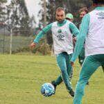 Chapecoense x CRB; onde assistir ao vivo o jogo deste domingo (9) pela Série B. Foto: ACF