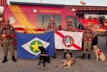 Bombeiros e caes de Mato Grosso auxiliam nas buscas por pessoas desaparecidas no RS