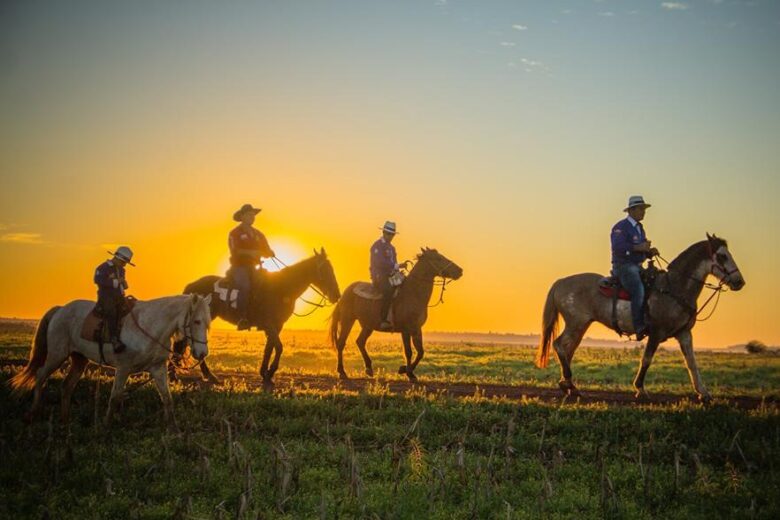 Governo do Estado institui Dia da Cavalgada em Mato Grosso