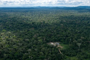 Cerca de 13 mil hectares foram desmatados na Terra Indigena Kawahiva em Mato Grosso