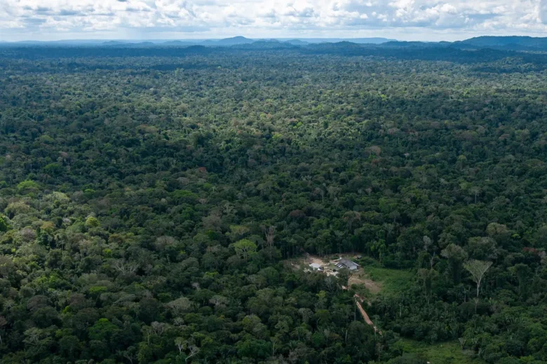 Cerca de 13 mil hectares foram desmatados na Terra Indigena Kawahiva em Mato Grosso